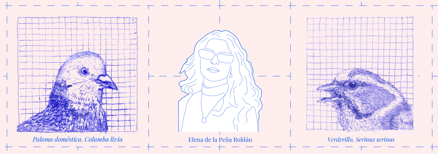 Panel 8 web)